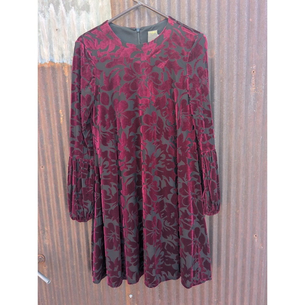 Taylor Velvet Burnout Dress Sz 4 Burgundy Floral Whimsigoth Witchy Fairy Grunge
